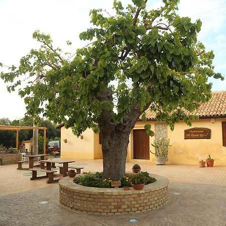 Vila Al Grande Gelso Cariati Exteriér fotografie